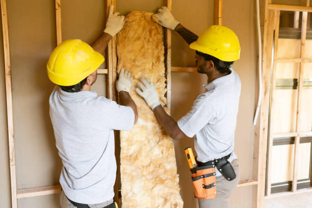 Types of Insulation We Offer in Chesapeake, VA